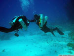 Egipt - Hurghada • Nurkowanie 102 metry. Kurs Trimix Diver IANTD. Fotografia podwodna