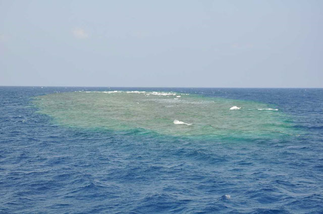Rafa, przy której rozpoczynaliśmy nurkowanie. Egipt - Marsa El Alam. Listopad 2010. Fotorelacja z nurkowania technicznego Rafa, przy której rozpoczynaliśmy nurkowanie. Egipt - Marsa El Alam. Listopad 2010. Zdjęcia nurkowe Zdjęcia nurkowe.