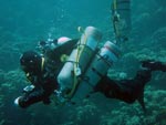 Zdjęcia z nurkowania technicznego na 122 metry. Egipt - Dahab. Zdjęcie nurkowe