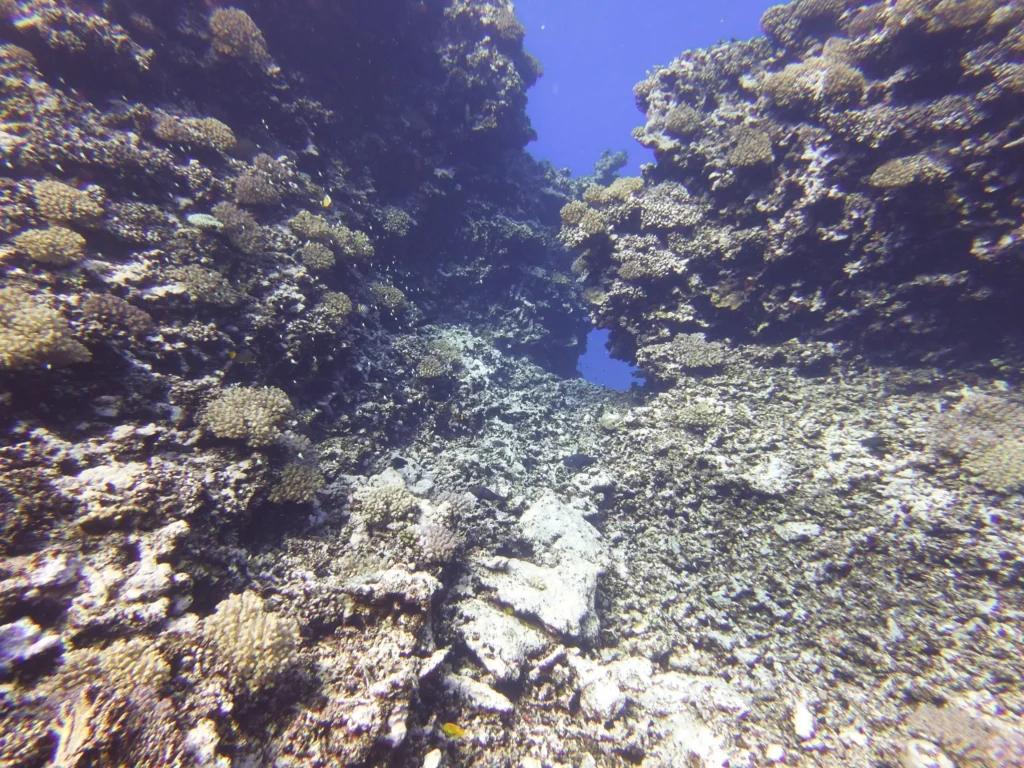 Safari nurkowe Egipt 2026 (5)